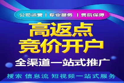 成功案例：SEM竞价托管的策略与效果